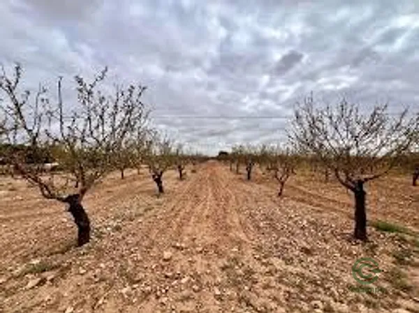 Terreno urbano de 0,563 ha en venta en Murcia, Murcia