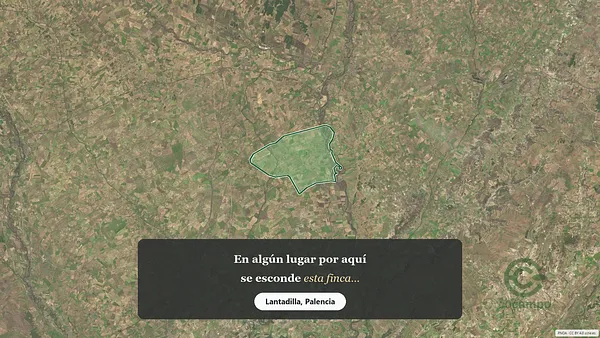 Spot image