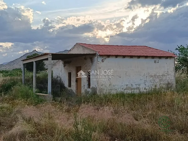 Spot image