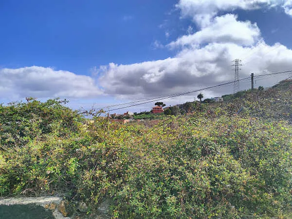 Finca rústica de 0,2274 ha en venta en Matanza de Acentejo, La, Tenerife