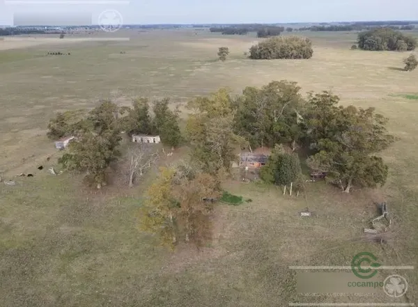Finca rústica de 57 ha en venta en Buenos aires