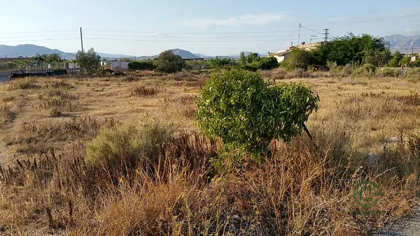 Spot image