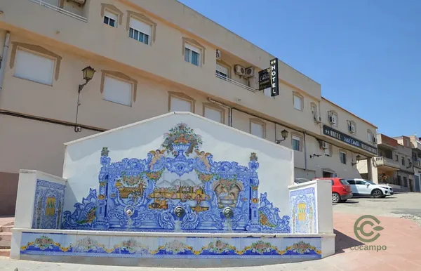Spot image