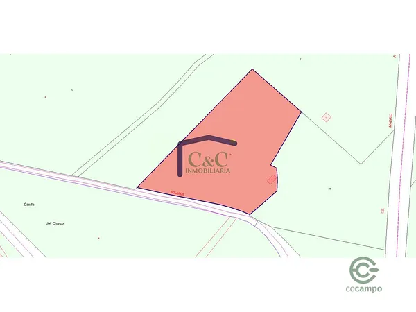 Spot image