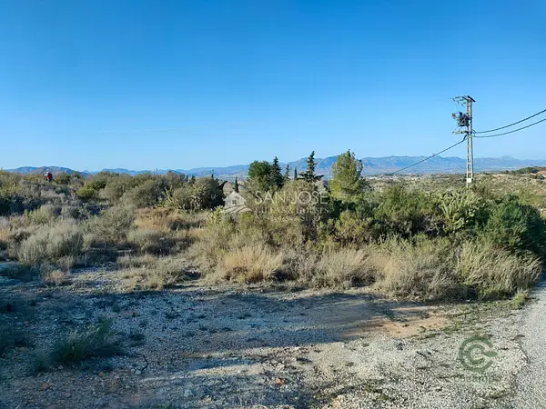 Spot image