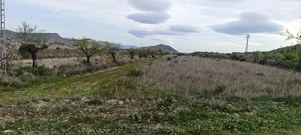 Finca rústica de 1,1603 ha en venta en Hondon de las nieves, Alicante
