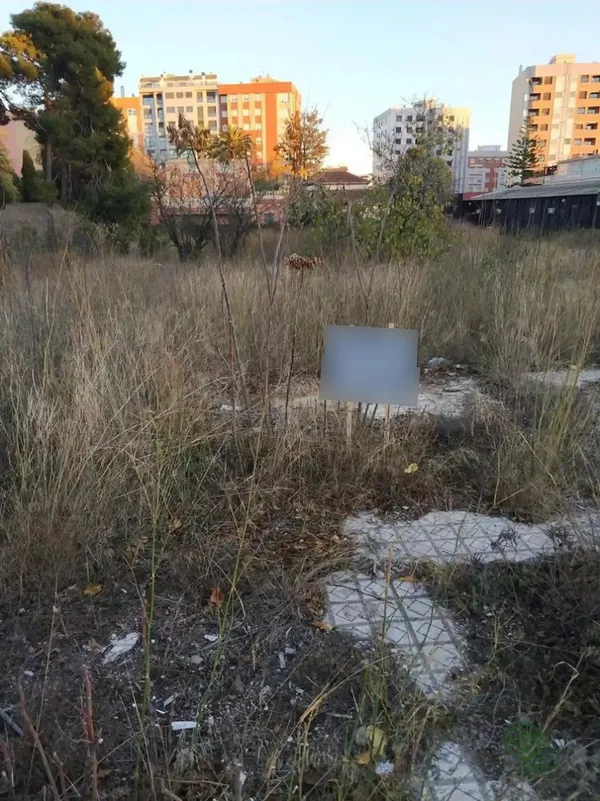 Spot image