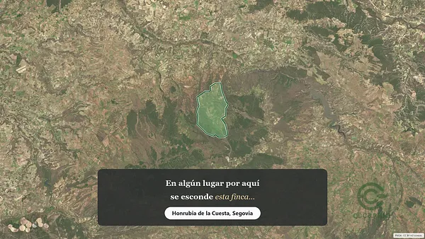 Spot image