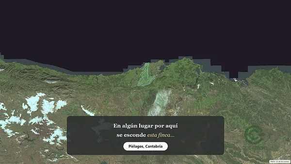 Spot image