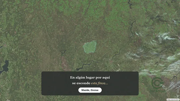 Spot image