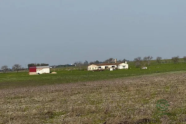 Finca ganadera de 142 ha en venta en Cáceres
