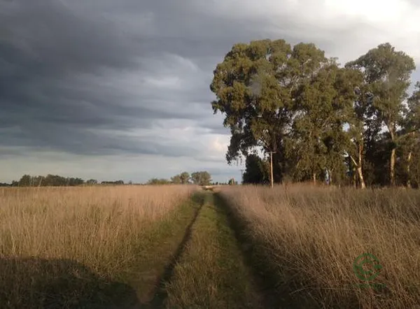 Finca rústica de 33 ha en venta en Buenos aires