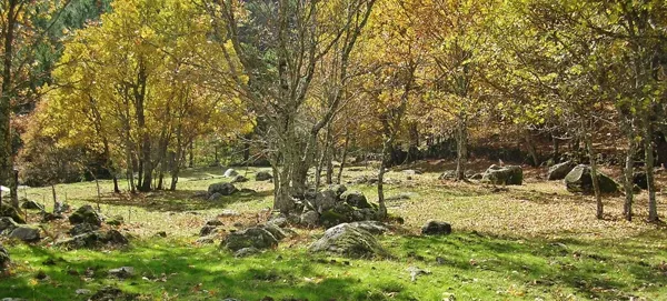 Finca rústica de 13 ha en venta en Ávila