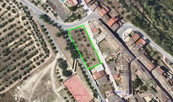 Spot image