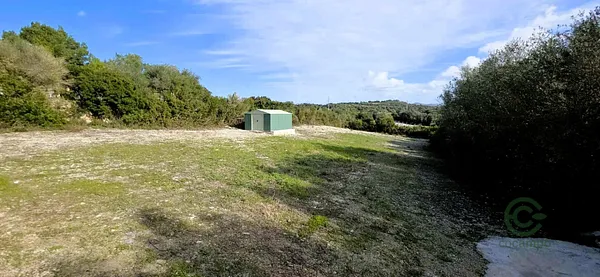 Spot image