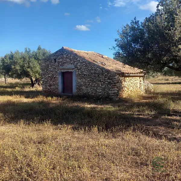 Finca agrícola de 1,1 ha en venta en Tivenys, Tarragona