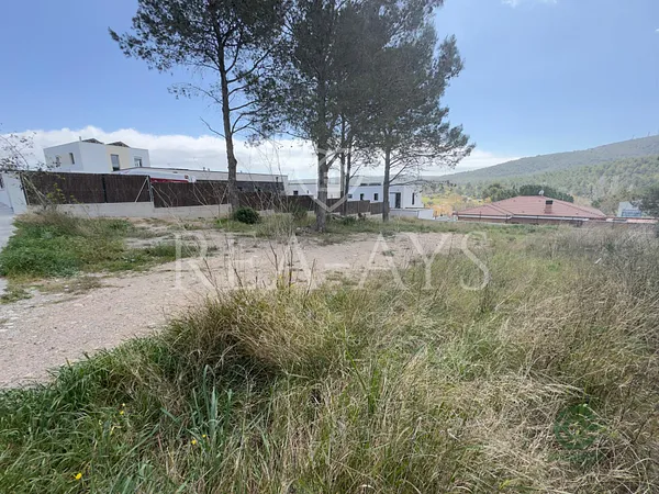 Spot image