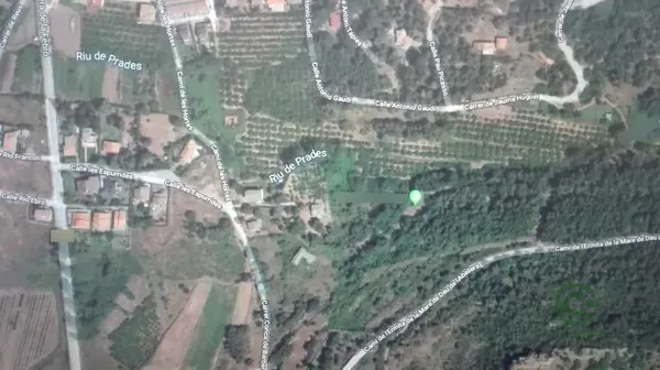 Spot image