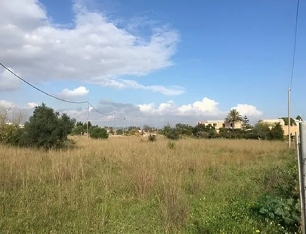 Spot image