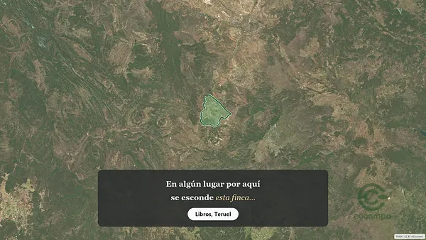 Spot image