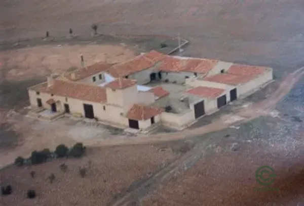 Spot image
