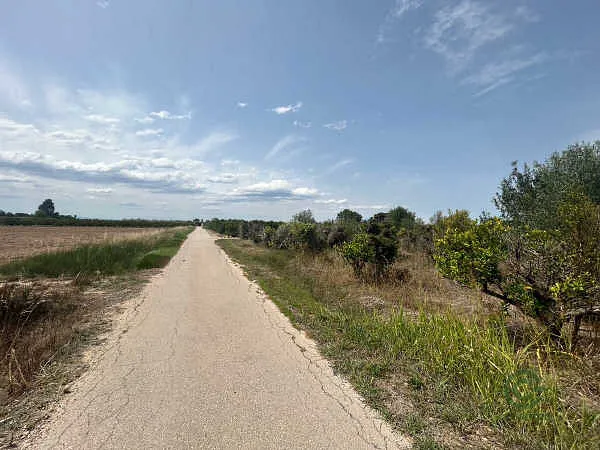 Finca rústica de 0,42 ha en venta en Sueca, Valencia