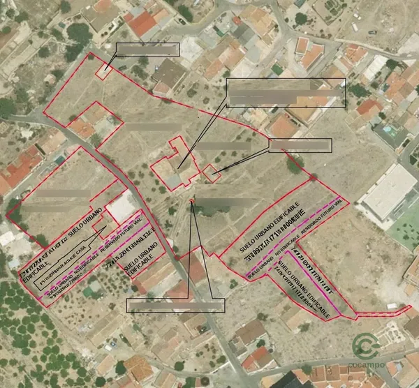 Spot image