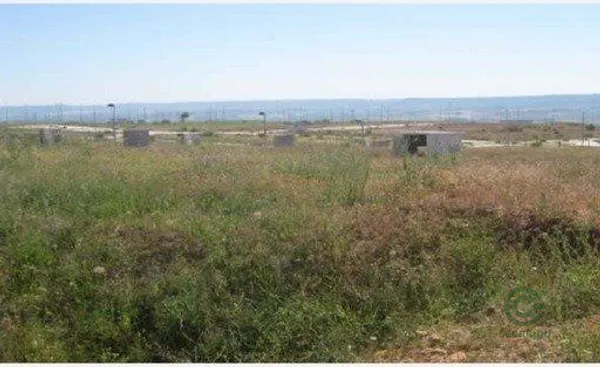 Spot image