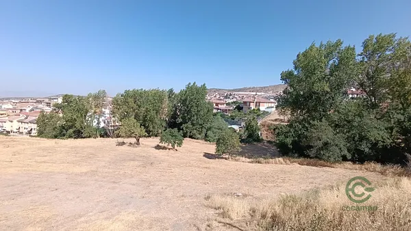 Spot image