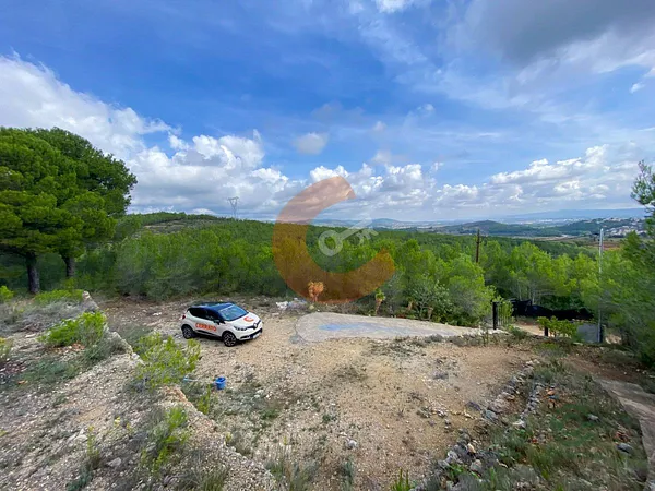 Spot image