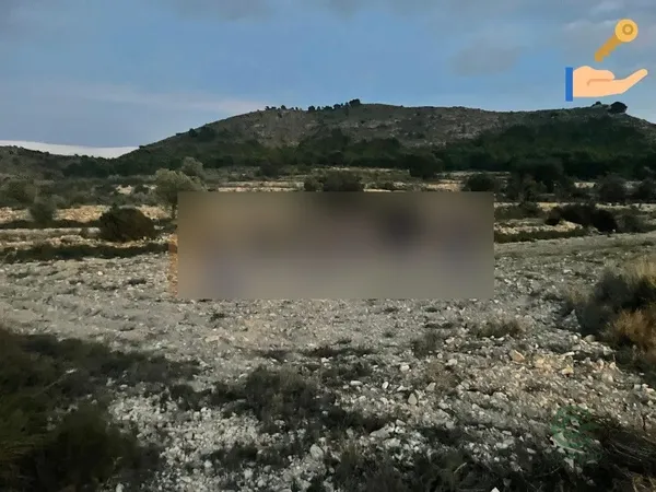 Spot image