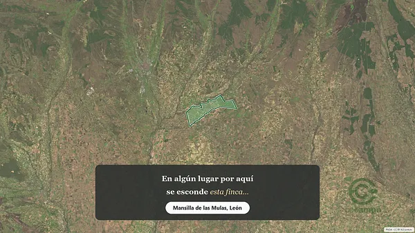 Spot image