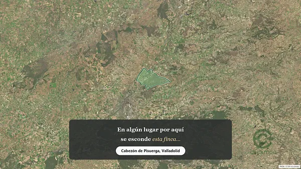 Spot image