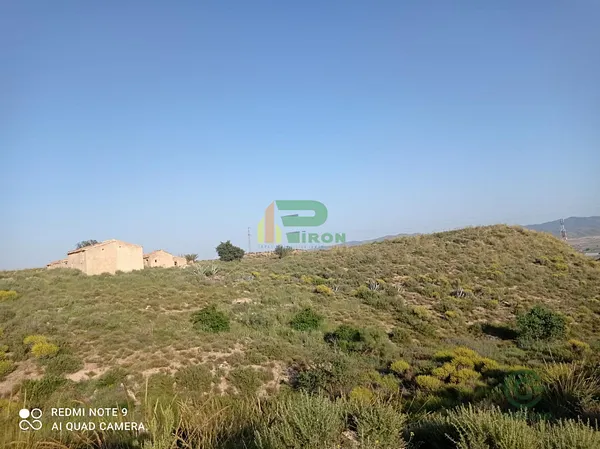 Spot image