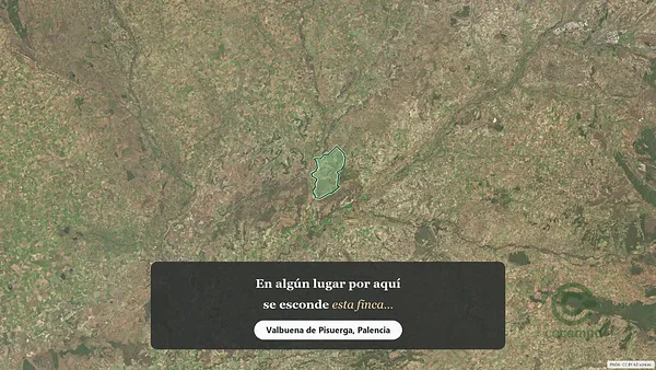 Spot image