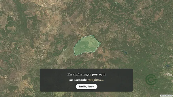 Spot image