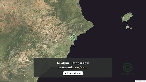 Spot image