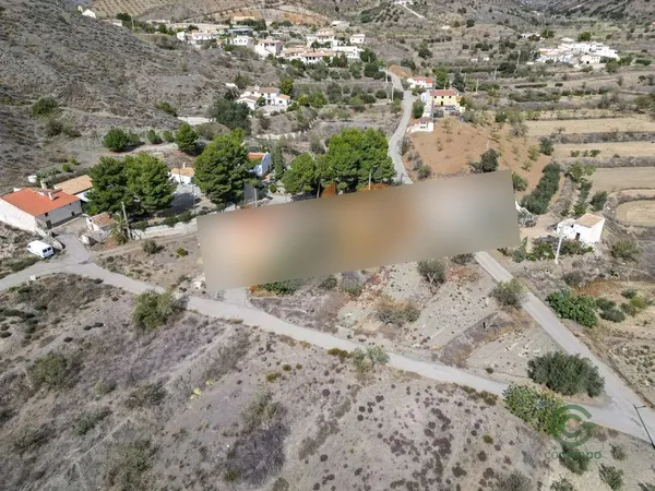 Spot image