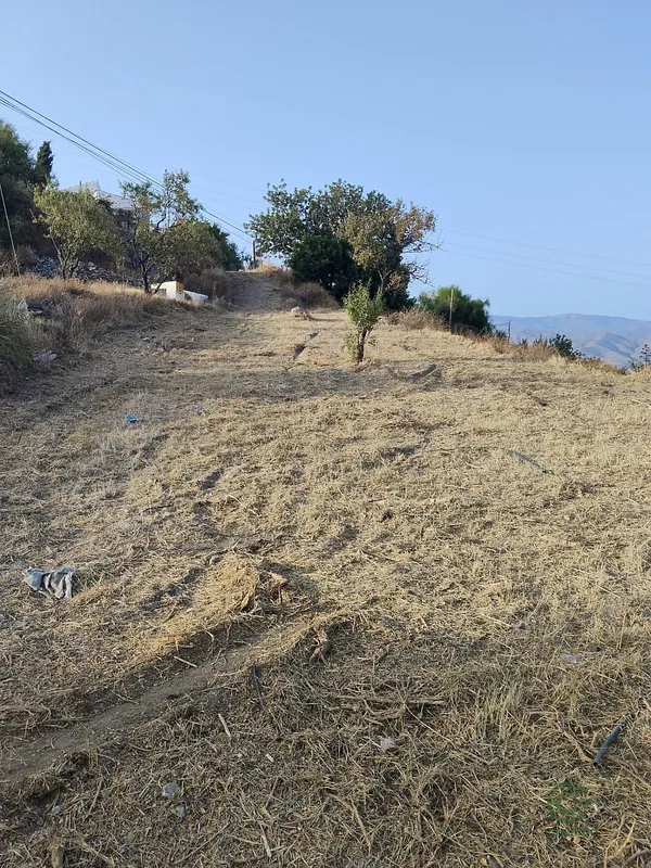 Spot image
