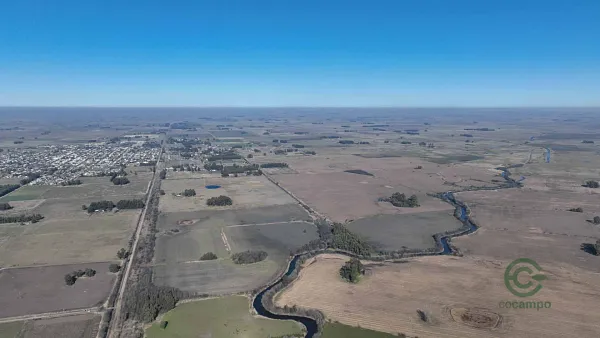 Finca agrícola de 236 ha en venta en Buenos Aires
