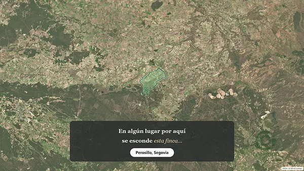 Spot image