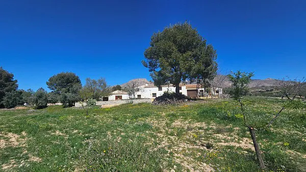 Spot image
