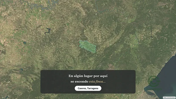 Spot image