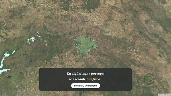 Spot image