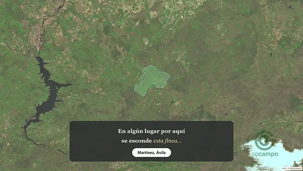 Spot image