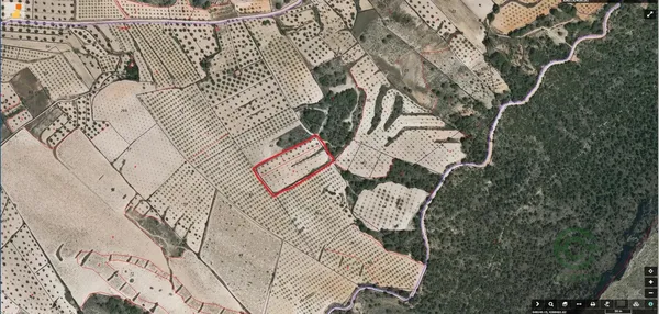 Spot image