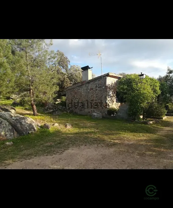 Spot image