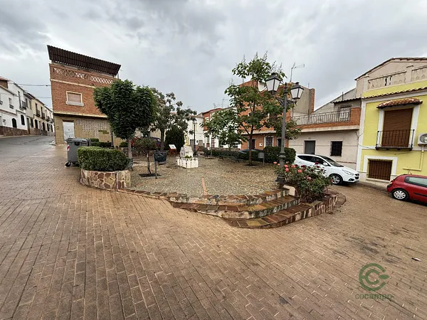 Spot image