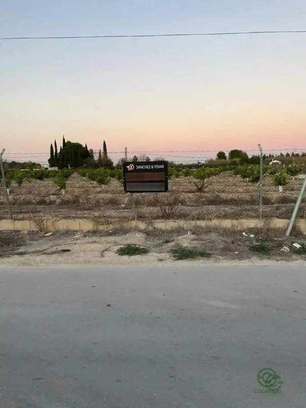 Spot image