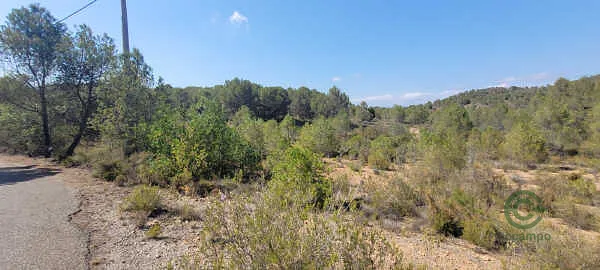 Spot image